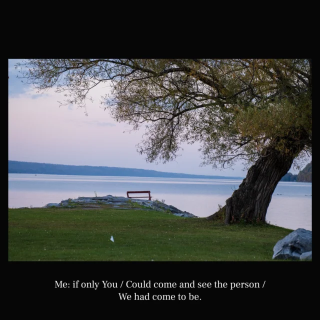 Me: if only You / Could come and see the person / We had come to be.

- @hariotezawa

#poet #poetry #haiku #art #naturephotos #photographer