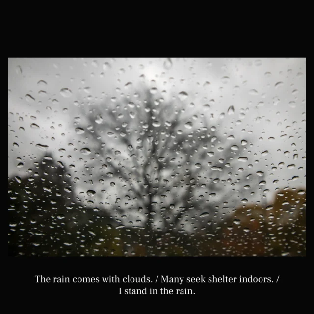 The rain comes with clouds. / Many seek shelter indoors. / I stand in the rain. 

- @hariotezawa

#poet #poetry #haiku #art #naturephotos #photographer