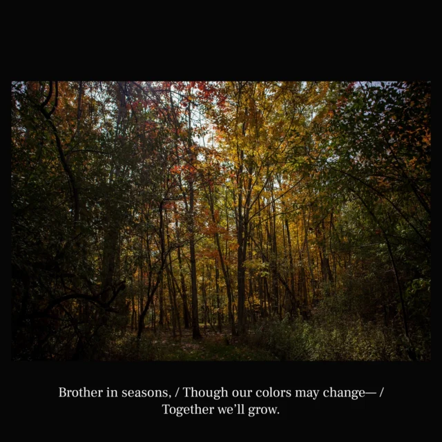 Brother in seasons, / Though our colors may change— / Together we’ll grow.

- @hariotezawa

#poet #poetry #haiku #art #naturephotos #photographer