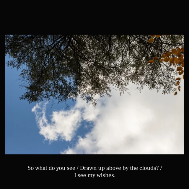 So what do you see / Drawn up above by the clouds? / I see my wishes.

- @hariotezawa

#poet #poetry #haiku #art #naturephotos #photographer